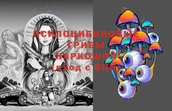 СК Аркадак