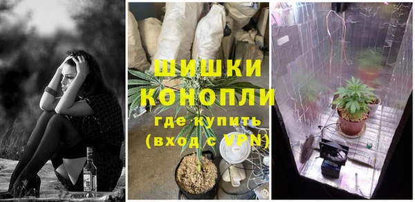 крисы Арсеньев