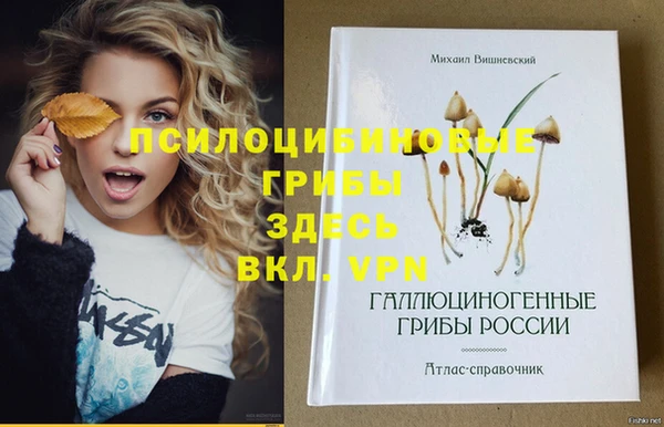 СК Аркадак