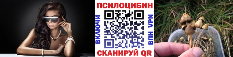 наркота  Зима  Псилоцибиновые грибы Magic Shrooms 